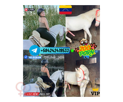LECHERA SEXO ORAL PERROS FOLLADA RUBIA CULONA TELEGRAM ZOO PORNO VENTA
