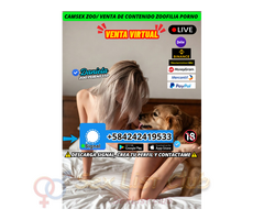 PORNO ANIMAL VIRTUAL VENTA DE CONTENIDO ZOO VIDEO LLAMADAS ZOO PORNO